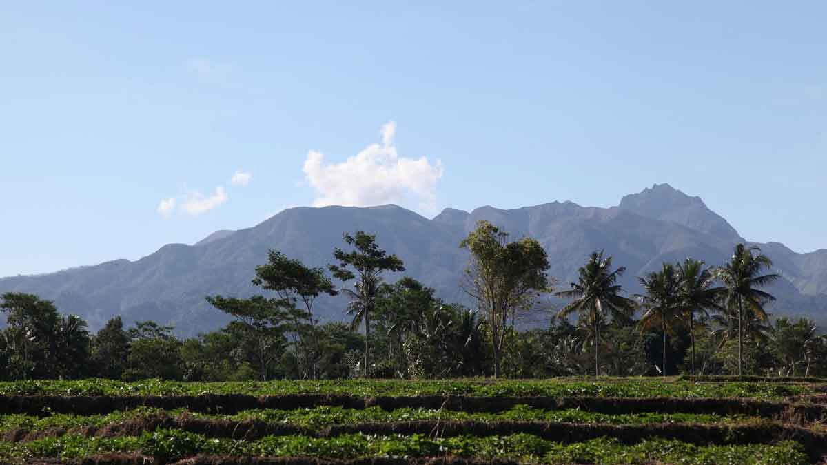 Legenda Gunung Kelud